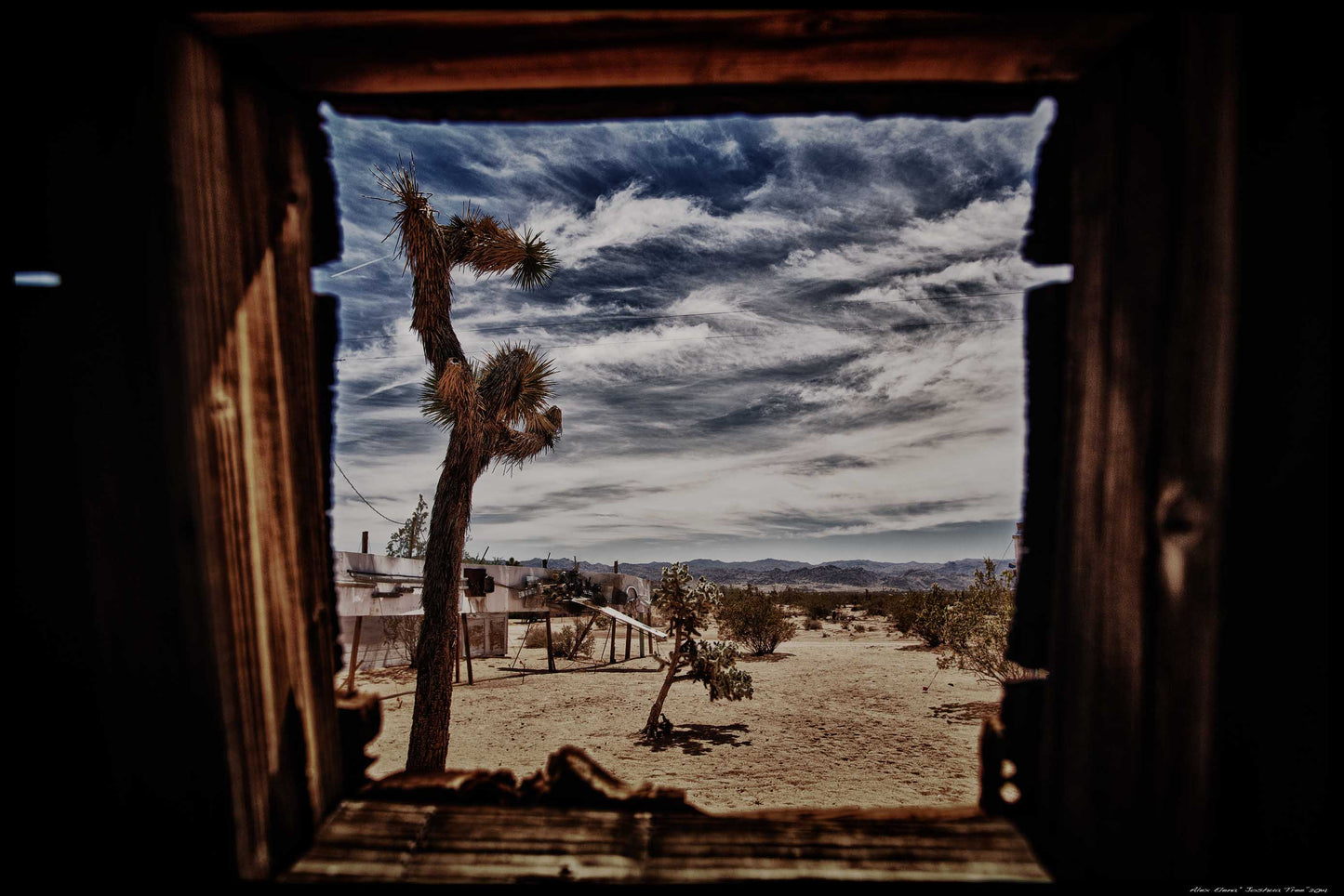 Joshua Tree Sculpture Garden 1