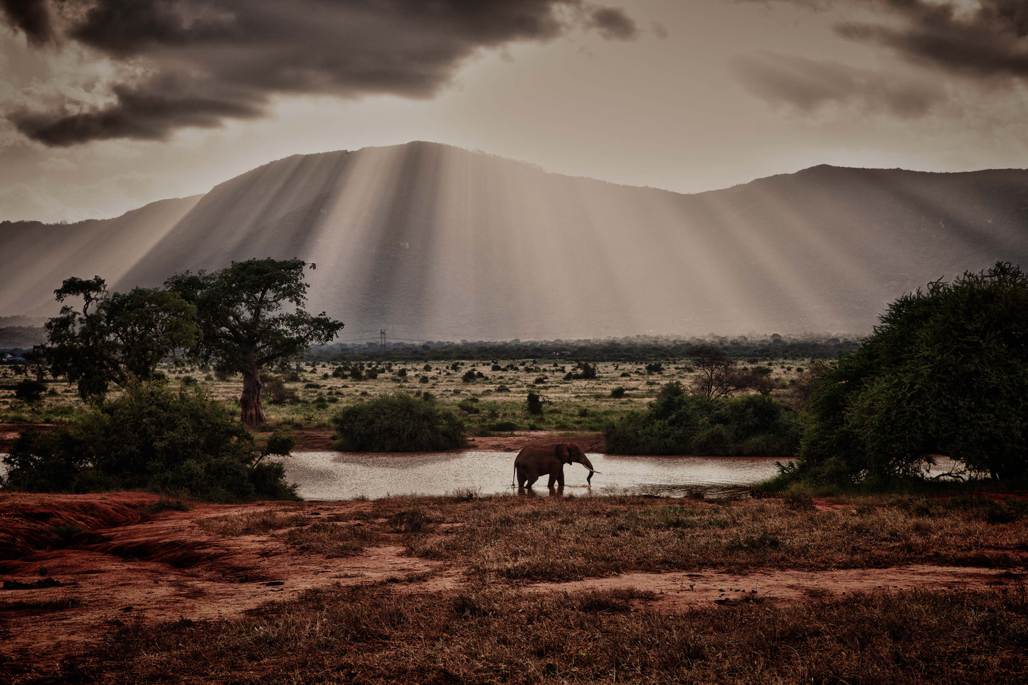 Kenya Tsavo East 6